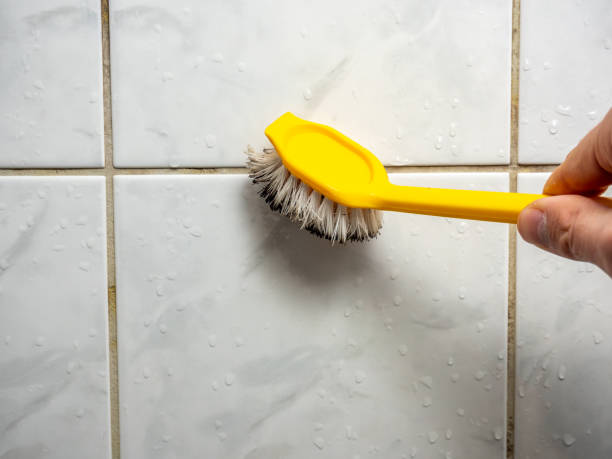 Reliable St Stephens, NC Mold Removal Solutions