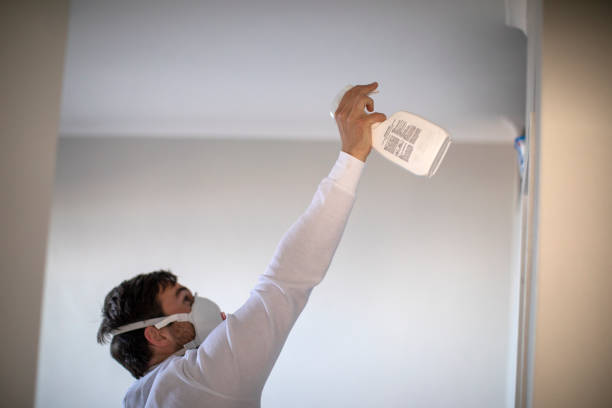 Best Attic Mold Removal  in St Stephens, NC