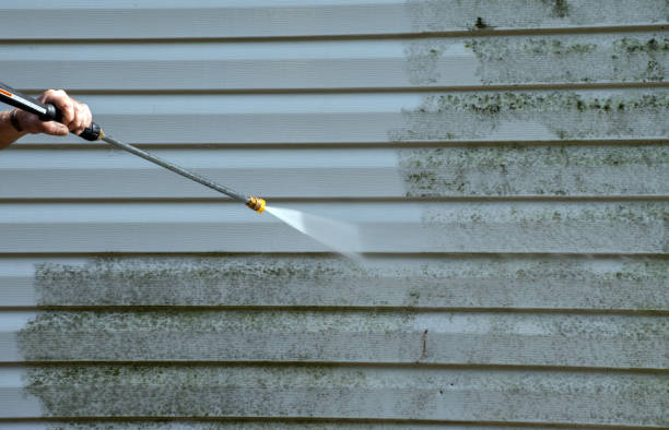 Best Mold Cleaning Services  in St Stephens, NC