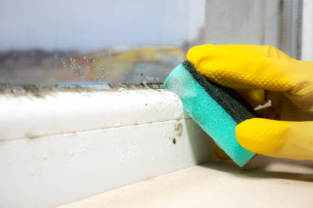 Water Damage Restoration in St Stephens, NC